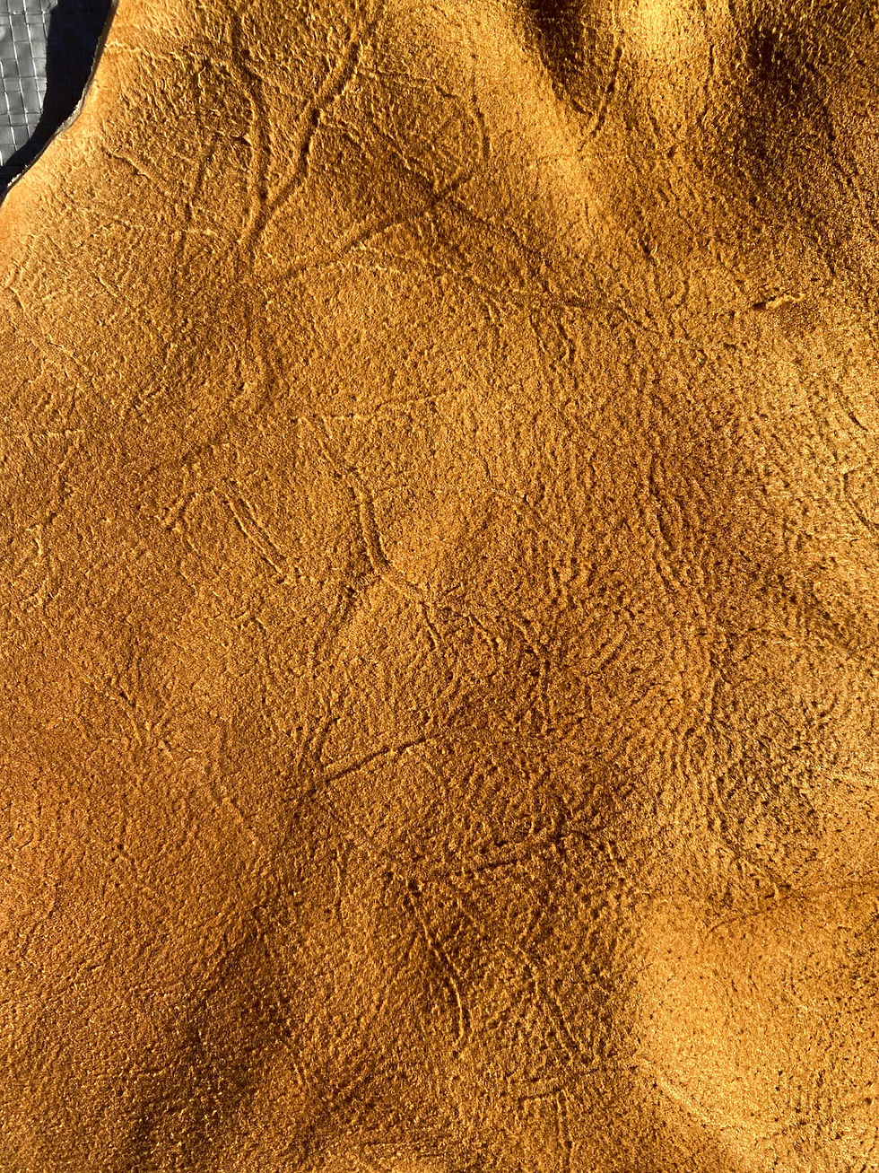 Thumbnail: Brain Tanned Smoked Buck (adult male) Deer Hide #1