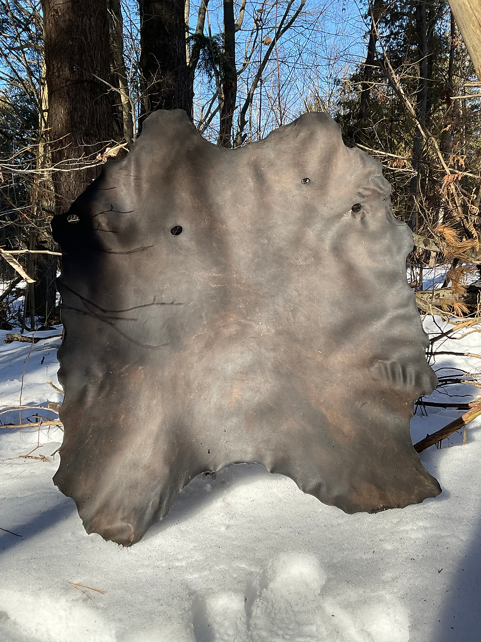 Thumbnail: Black Walnut Deer Rawhide - 1
