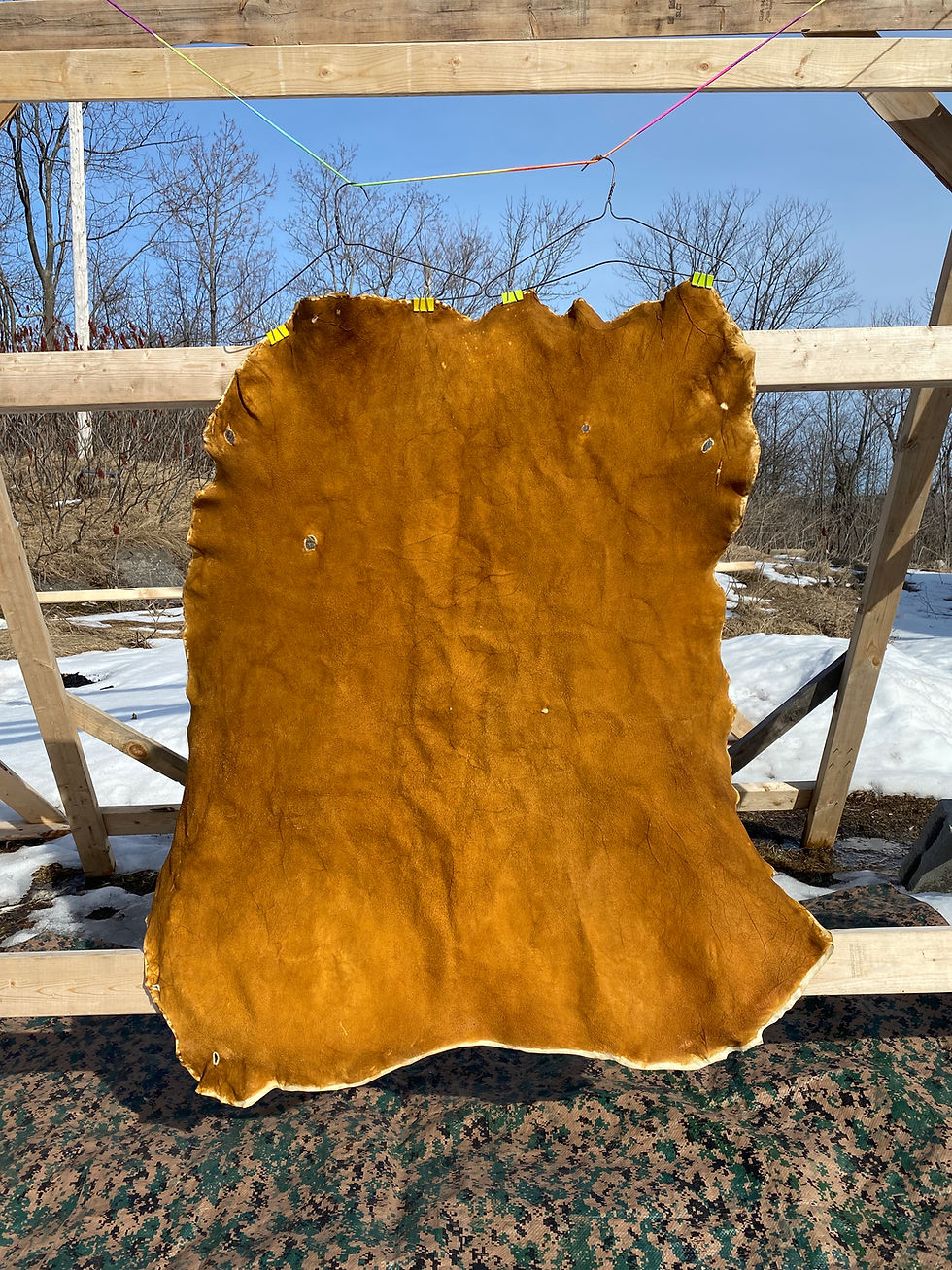 Thumbnail: Dark Smoked Deer Hide