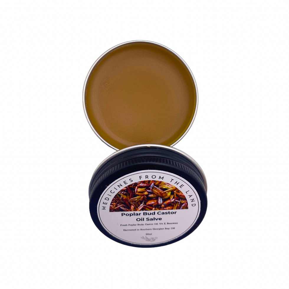 Thumbnail: Poplar Bud Salve