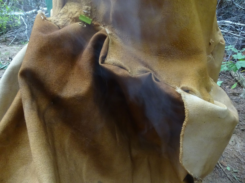 smoke3