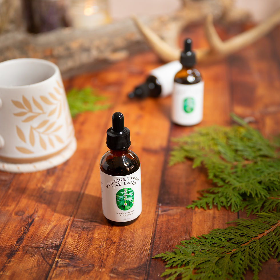 Thumbnail: Motherwort Tincture