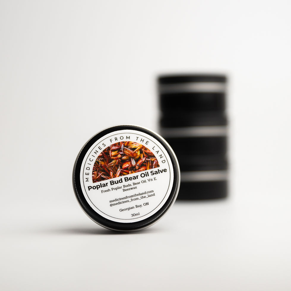 Thumbnail: Poplar Bud Salve
