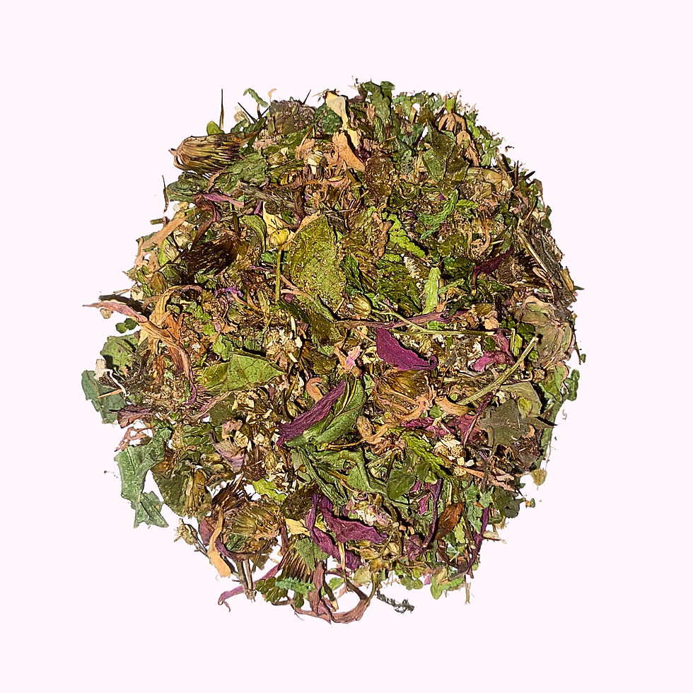 Thumbnail: Immune System Tea