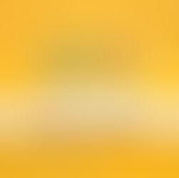 CRCSP e Editora Elevação promovem palestra sobre tributação no Terceiro Setor