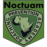 noctuam.jpeg