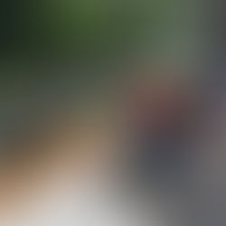 Deck Maintenance & Repairs Common In Houston