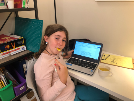 Upper El (Mr. D): Research, Tides, and Variety!