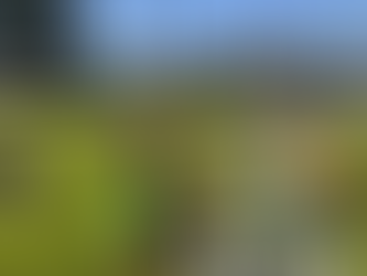 Upper El (Mr. D): Pendulums & Missions