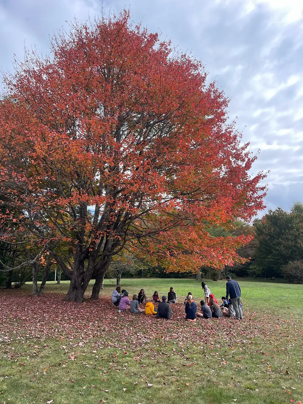 Who Goes There? (Mr. D)