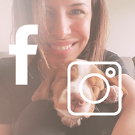 Infographie autre (3).png