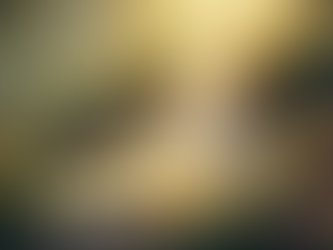 January 1 - The Fountain of Treasures