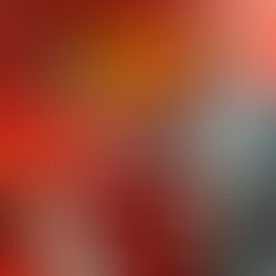 Monaco fait signer un jeune brésilien !