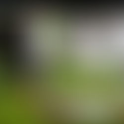 L2, J37 : six équipes encore en course pour la Ligue 1 !