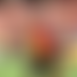 Quatre sur quatre : Lens fait le plein