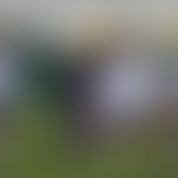 Lyon-Fenerbahçe annulé