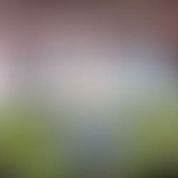 Ligue des Champions : le Real invulnérable et de nouveau sacré