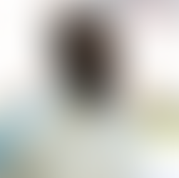 Fusillade : Lassana Diarra en deuil