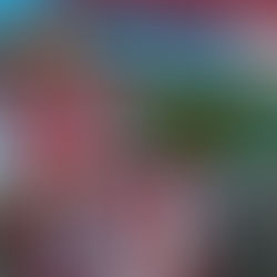 West Ham : pourquoi le club sera la belle surprise de Premier League