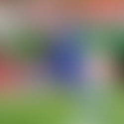 Interview : Matthieu Dreyer, gardien titulaire de l'ESTAC