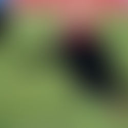 Quentin Lecoeuche : "Lorient est un très bon club de Ligue 1"