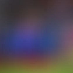 Classement FIFA - la France septième !