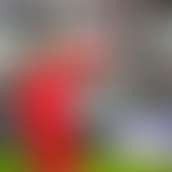 Paul Bernardoni va signer à Chelsea !