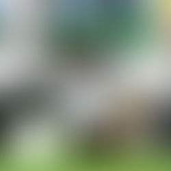 Mario Gomez forfait, deux milieux incertains pour l'Allemagne !