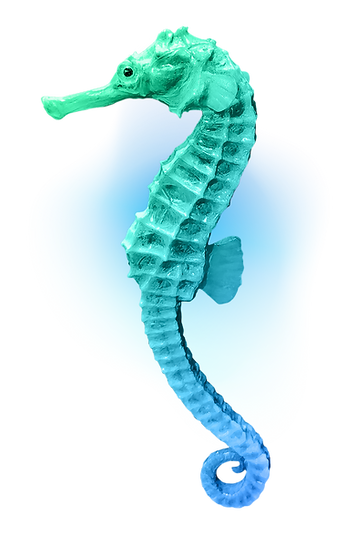 Decorative seahorse