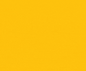 S010_C_P3.gif