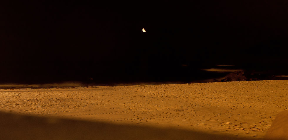 Lunera.