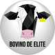 BDEpng.png