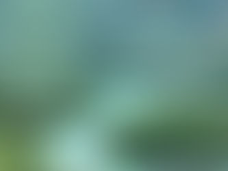 The River Remembers: EMDR Therapy and the Journey from Frozen to Free