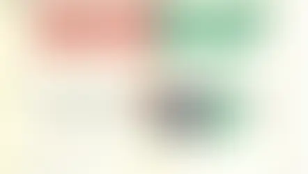 SenseMaking: Where Does Cognitive Inclusion Come From? 