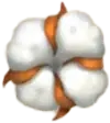 Бавовна