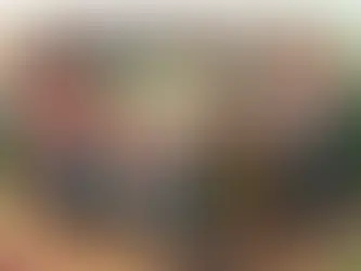 👪 У нас є три Лани