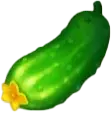 Огірок