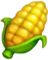 Кукурудза