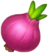 Цибуля