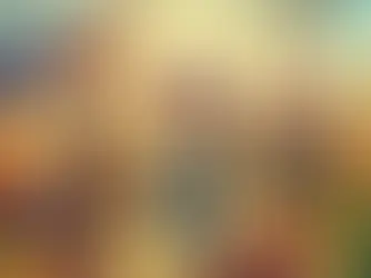 🏡 Програма "Додому до Лану"
