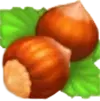 Фундук