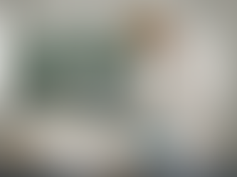 House Limewash Essex County