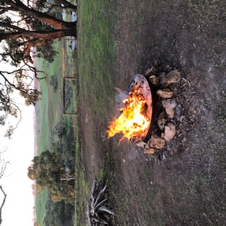 Fire Pit