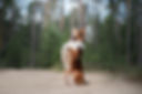 AdobeStock_184315549.jpeg