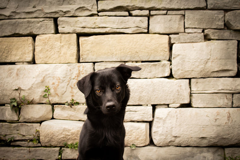 IMG_0088-30.jpg