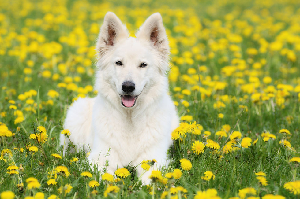 AdobeStock_414408946.jpeg