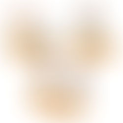 はなまるうどん公式X投稿用イラスト