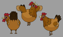Special Poses