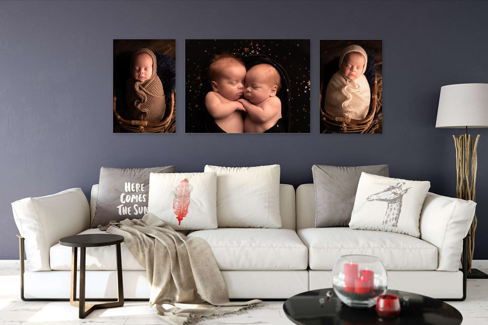 gallery-snapshot.jpeg