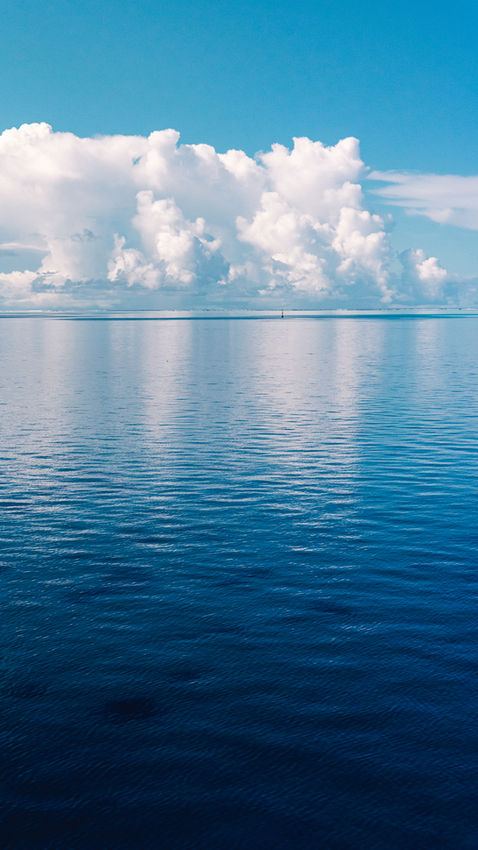 2022-08_TAHITI-241.jpg
